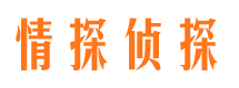 薛城市婚姻调查